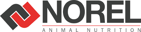 NOREL